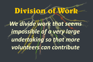 Division of Work